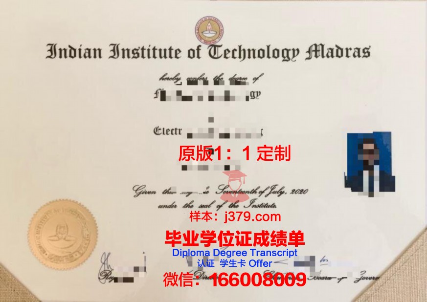 孟买大Diploma证书专业课程介绍
