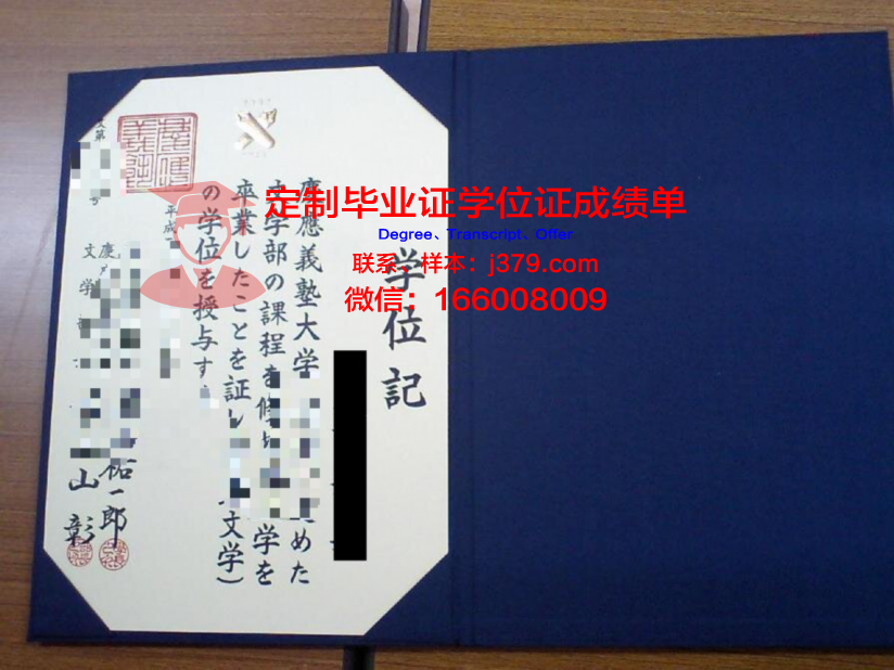 USF学位证明