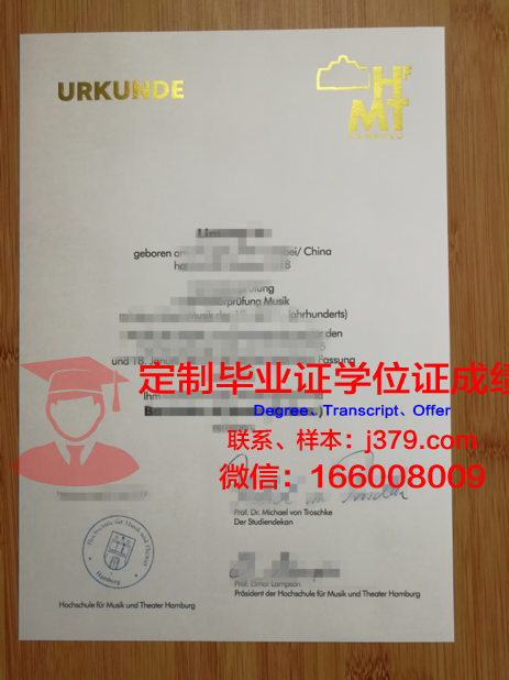 汉堡毕业证书电子版使用注意事项