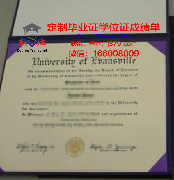 探索维纳斯本科证书的学术价值