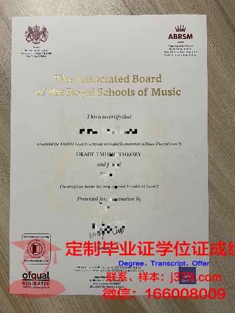 布尔诺理工学士学位证书