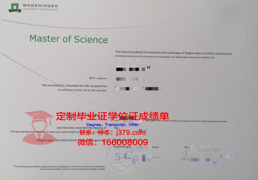 南十大本科毕业证:专业实力与就业率对比