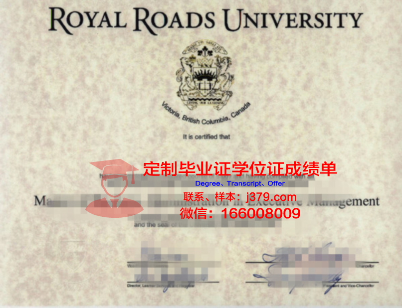 Leics高级学位证书