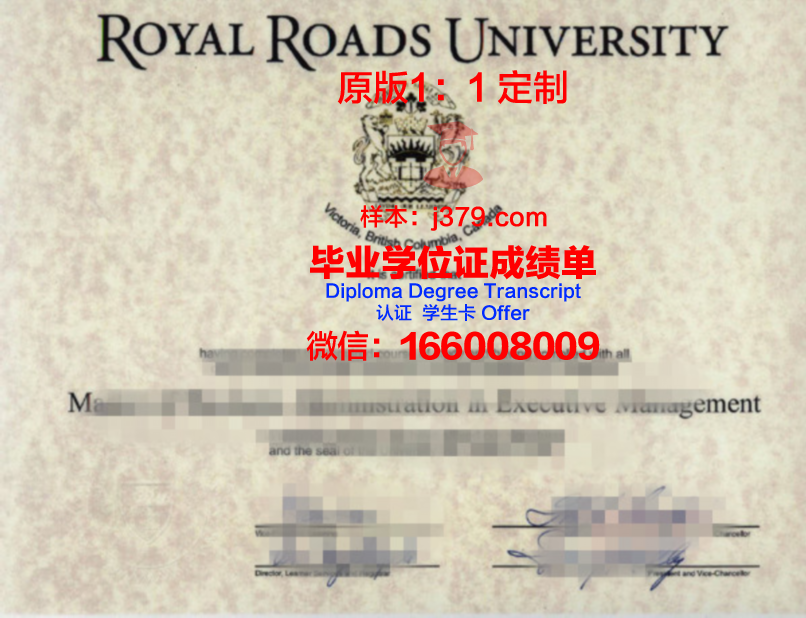 工业系统工程专业学位证书