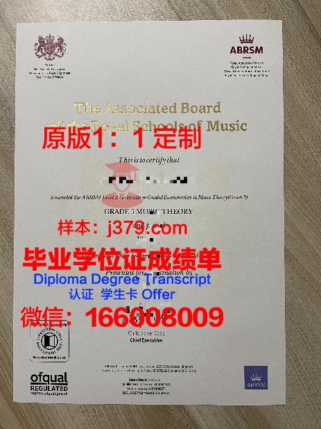 自由大学专业证书”