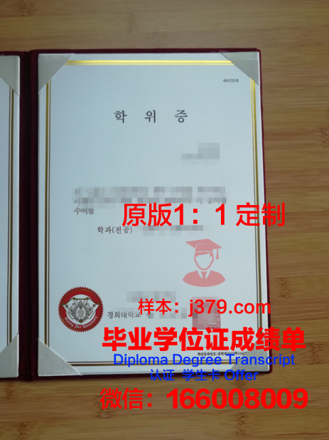 数字版韩国国际大学毕业证书查阅
