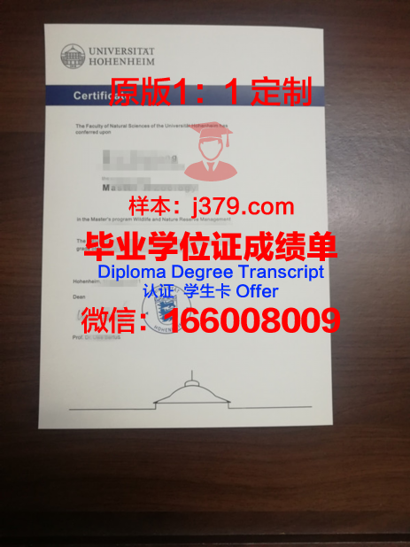 普福尔茨海姆应用技术大学文凭