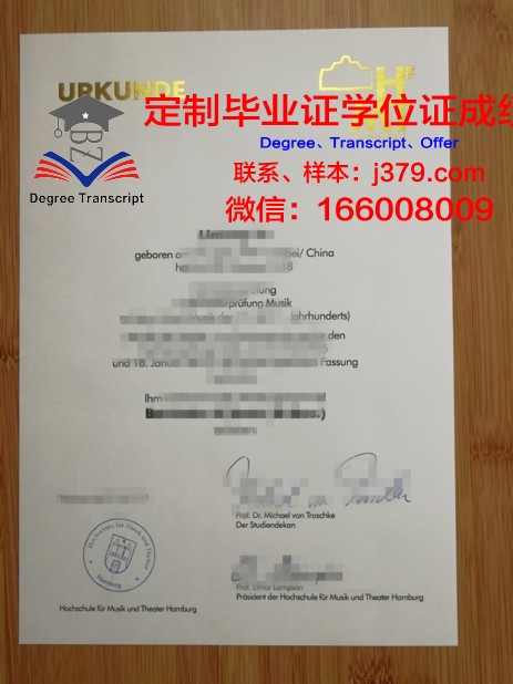 汉堡毕业证书电子版使用注意事项