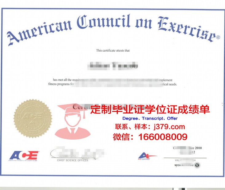 佩拉大成绩单:展示学子全面发展成果