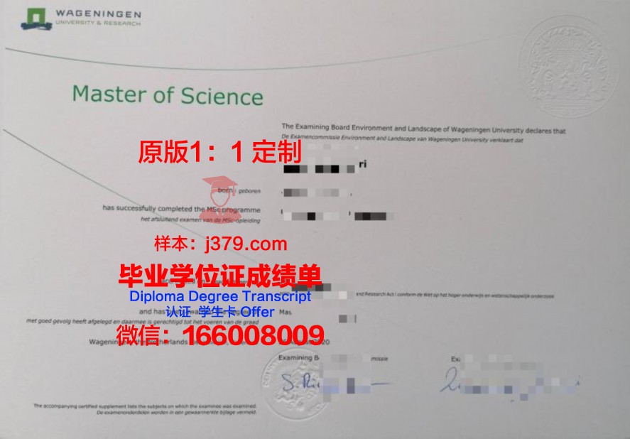 共女大毕业证样式变迁:历年版本对比