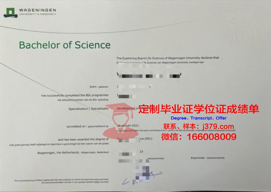 乌尔姆本科证书对我国留学生的意义