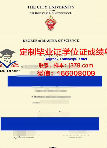 卡斯鲁厄理工研究生毕业证在国内外就业市场价值