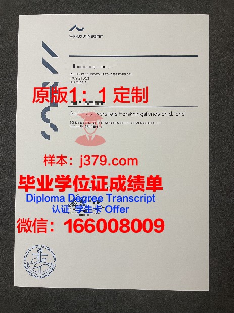 奥胡斯建筑学院毕业文凭