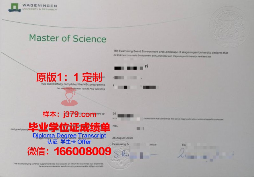 十星硕士毕业证:高校精英人才培养的典范