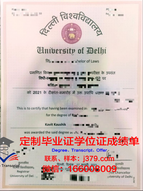 德里Diploma证书真实案例分享与经验总结