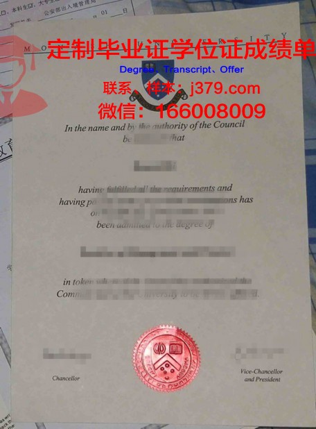 贝赫什提大学专业文凭证书