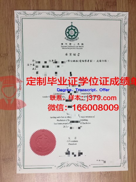斯艾大毕业证电子版使用注意事项