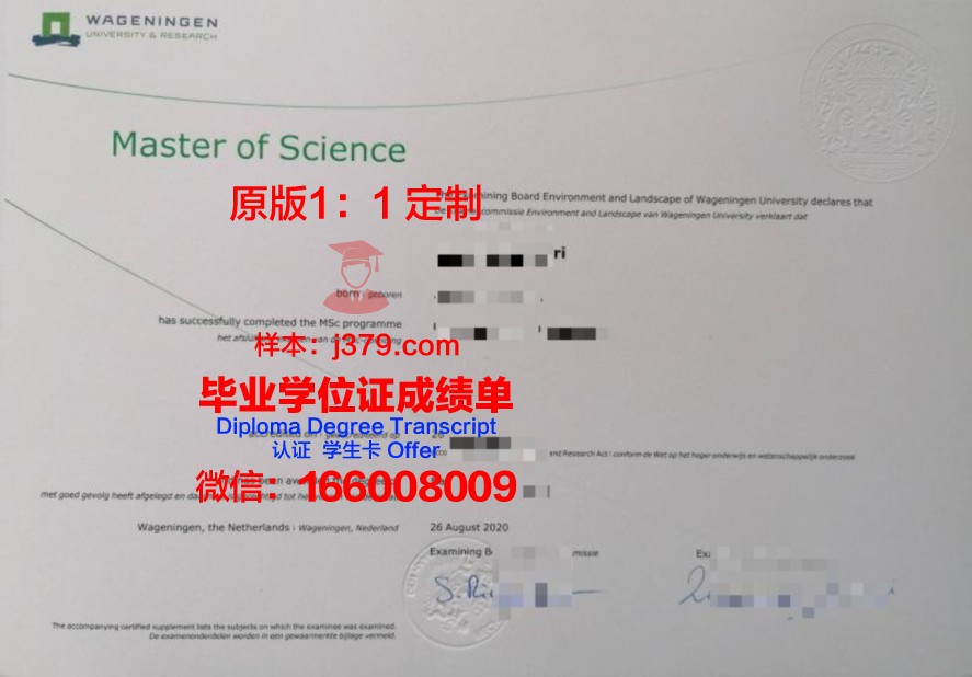 EI研究生毕业证与职场竞争力分析
