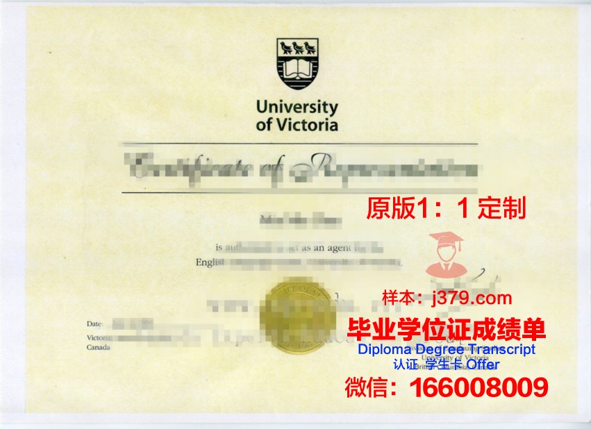 大维证书成绩单详解:如何评估个人学术水平