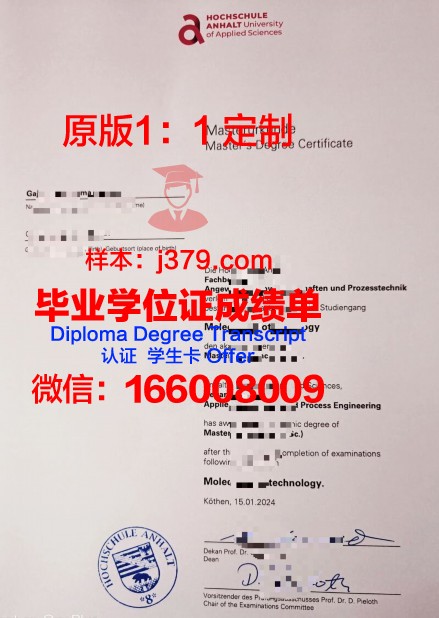 米特韦达应用技术大学本科阶段毕业证书