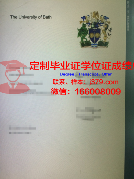 巴斯博士证书:国内外的认可度与影响