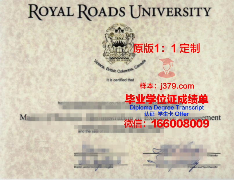 S?o Paulo高级学位证书