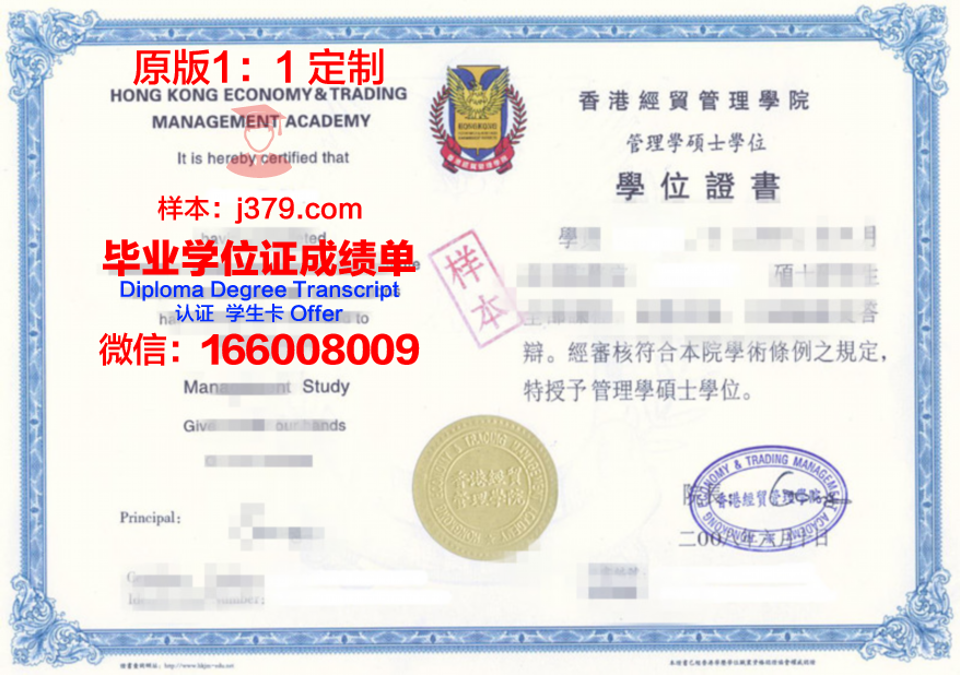 塞德博士证书:国际认可的技能证明