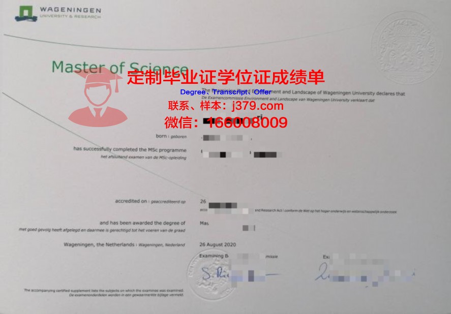 苏伊士大学学历证明书