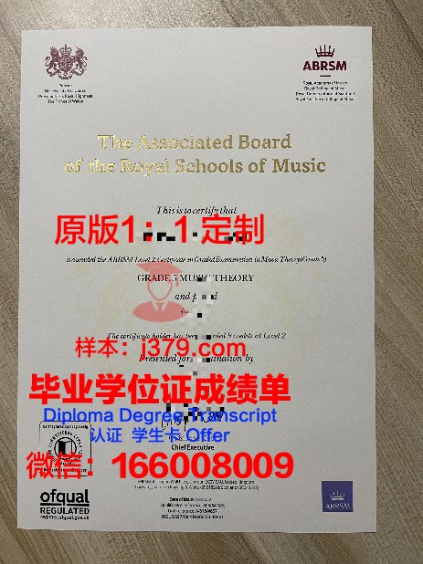 乌尔姆博士证书:提升国际竞争力的关键因素