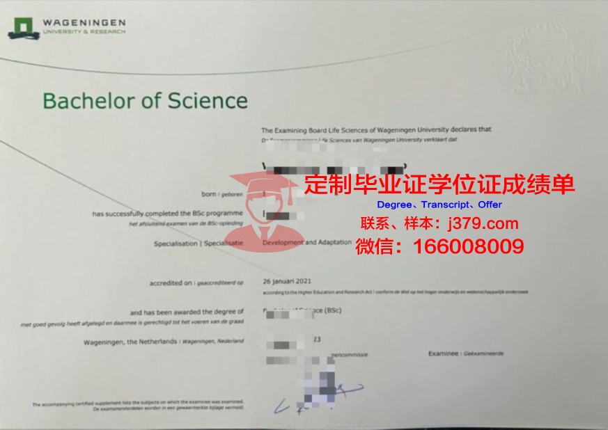 CPOU本科阶段毕业资格证书