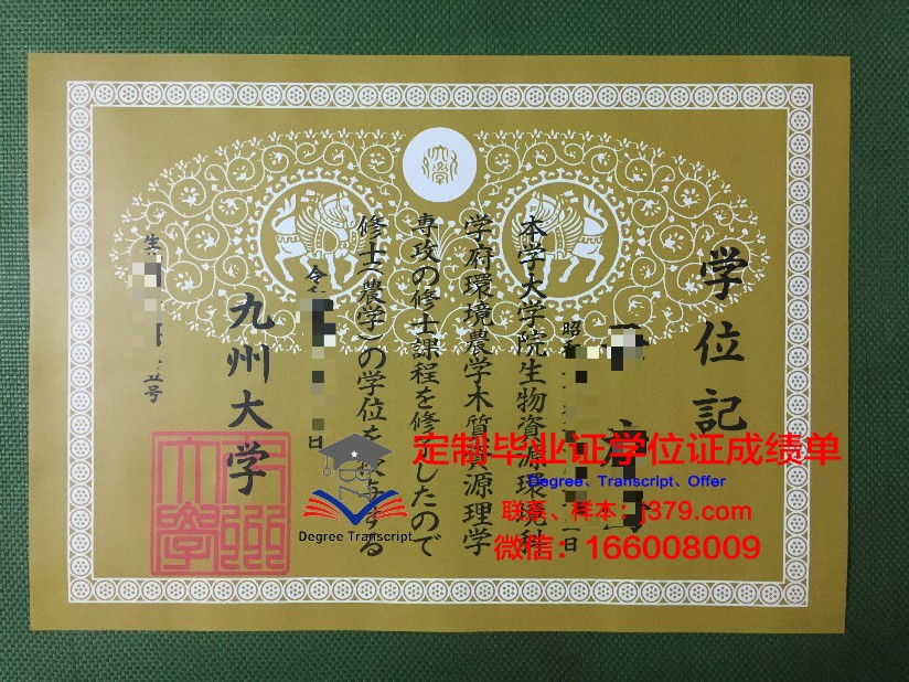 九州情报学院毕业证书及成绩记录单