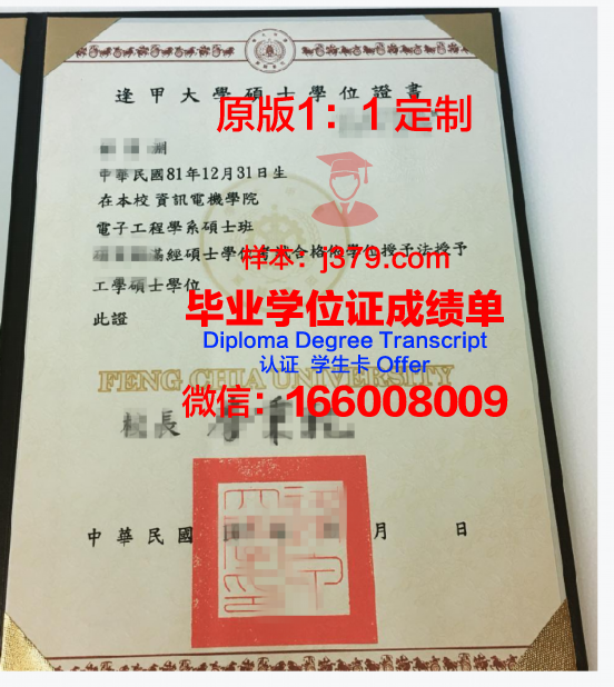 沃罗涅日国立大学本科学位证明