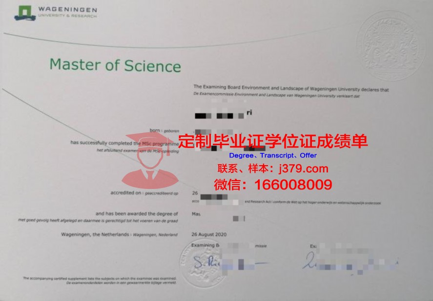 芒大硕士学历资格证书