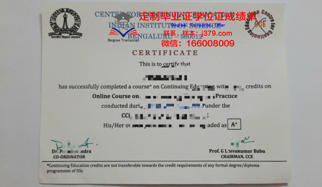卡伦扬技术与科学学院专业文凭证书