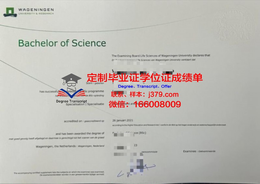 智奥高等教育本科资格证书