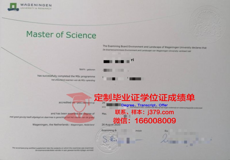 南十大毕业证样式探究:高校品牌形象展示