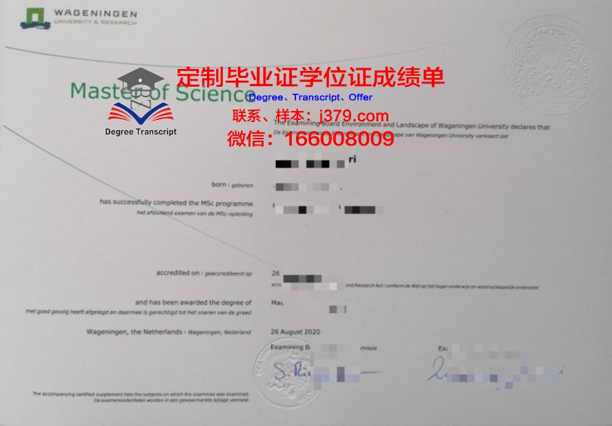 光院硕士证书:在线教育与实体教育的对比