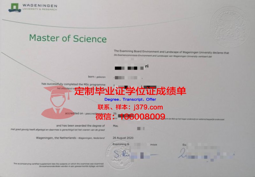 从零开始:Beavers硕士证书学习路径解析