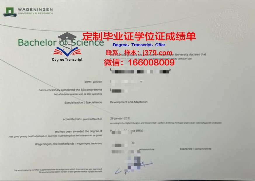 COL本科证书考试攻略