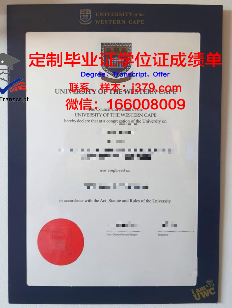 西开普大学研究生证书