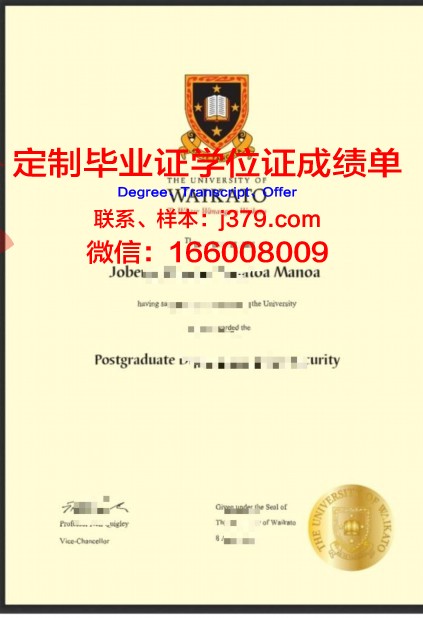 卡托博士证书:专业能力的体现