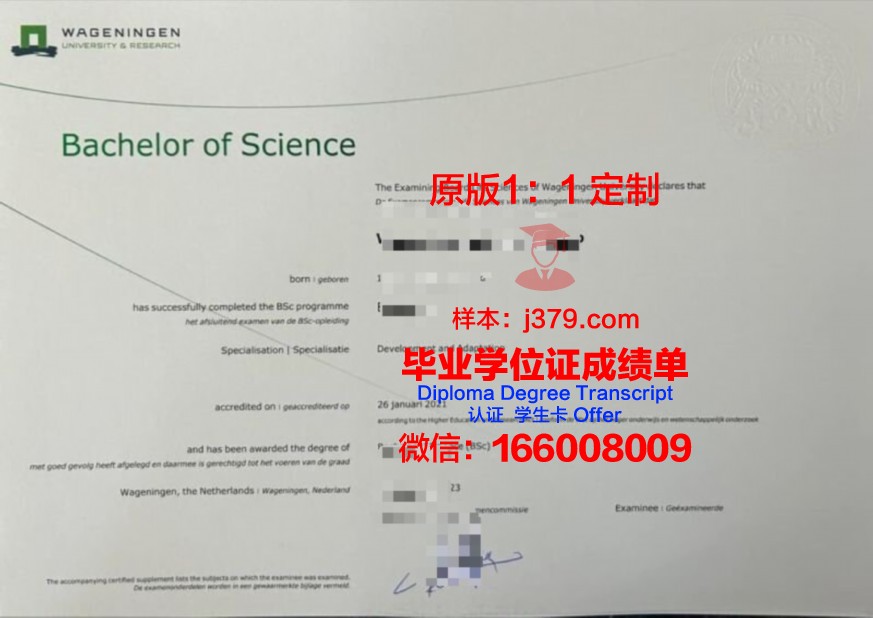 非标准本科毕业证书