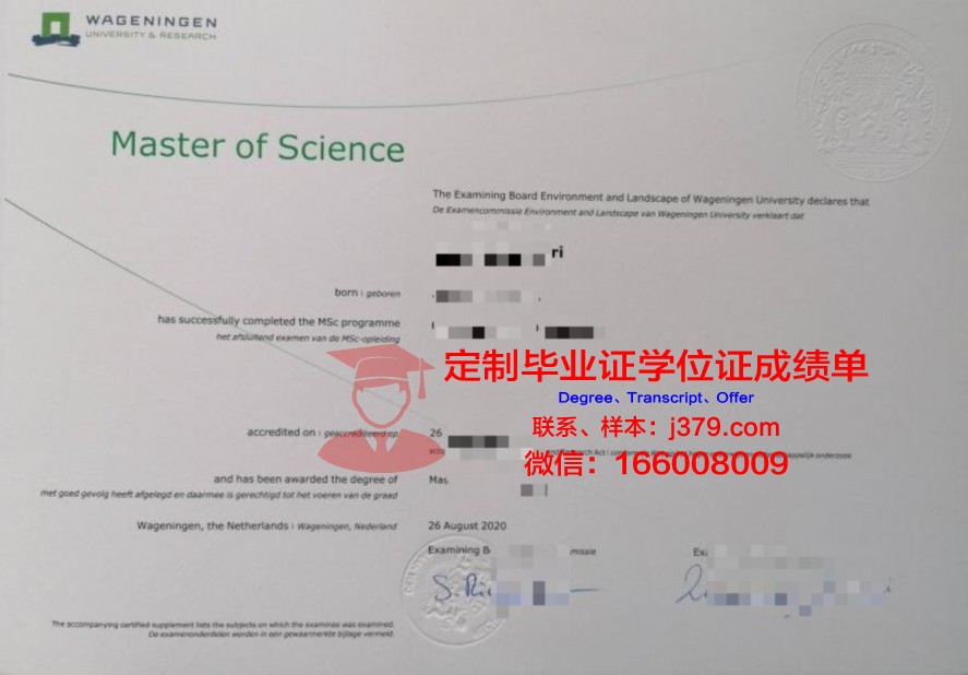 南星大硕士证书:专业选择与培养方向解析