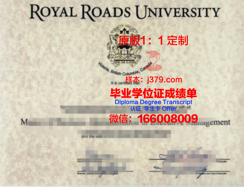 UPV博士学位资格证书