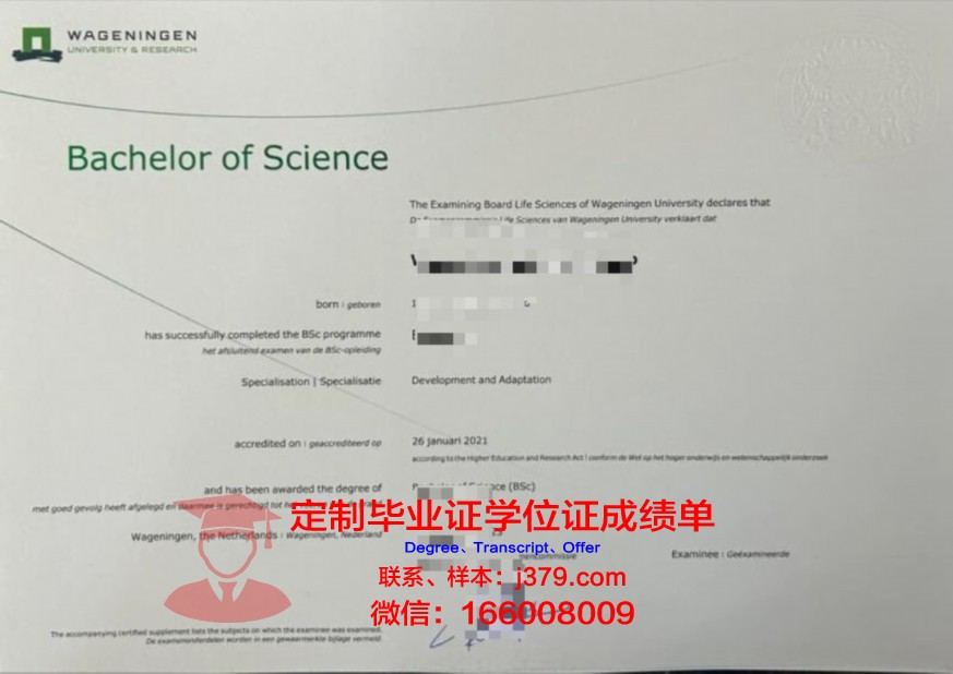 圣心大学本科证书课程设置与特色