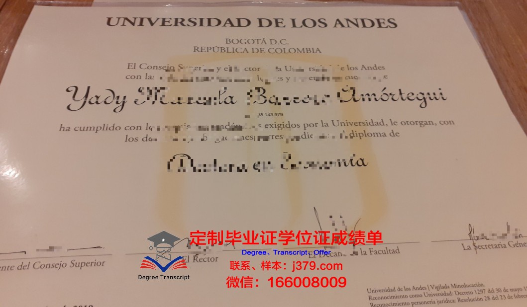 洛斯安第斯大学(智利)硕士学位资格证书