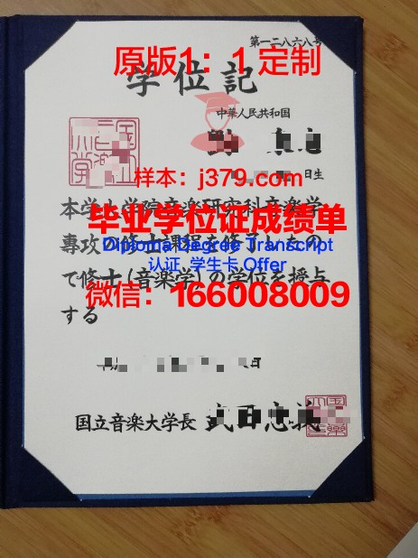 布加勒斯特国立艺术大学博士学历证明