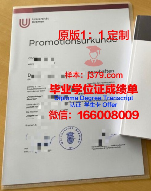 群大博士证书:探索博士教育的发展前景