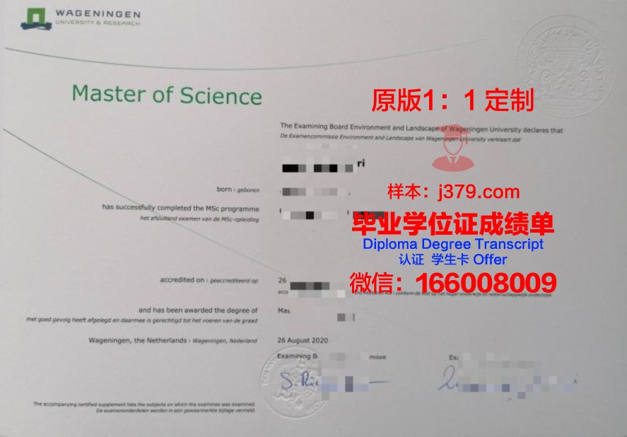 NCU毕业证:专业选择与就业方向分析