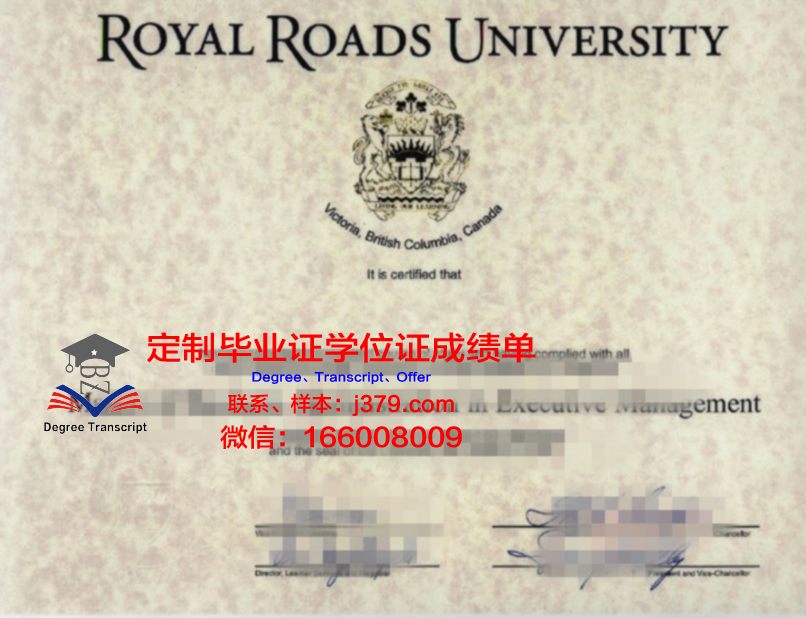 TUD学位证书